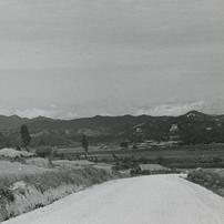 Thatched houses, fields, an...