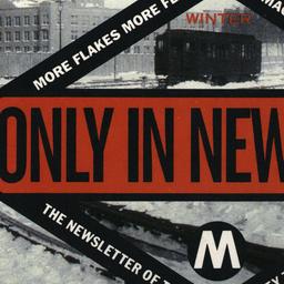 Only in New York Winter Mor...