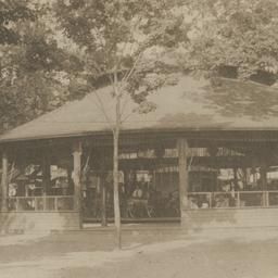 Carousel - A. E. Lynch, Sav...