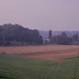 Sculpture in field.