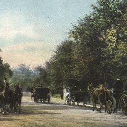 Driving in Central Park, Ne...