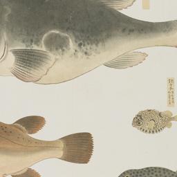 Group of Four Fish from the...