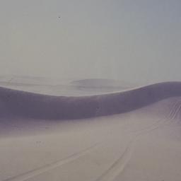 Sand dune.