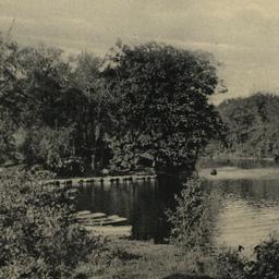 Bronx River, Bronx Park, N....