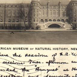 American Museum of Natural ...