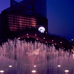 Fountain at night with brid...