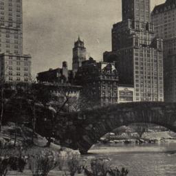 Central Park, Hotel Savoy P...
