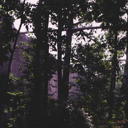 Exterior view, trees in bui...