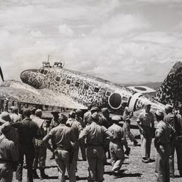 Camouflage Plane