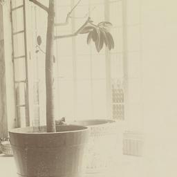 Page No. 110 - William Coll...
