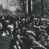 Crowds of demonstrators