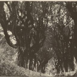 Page No. 007 - Castel Gando...