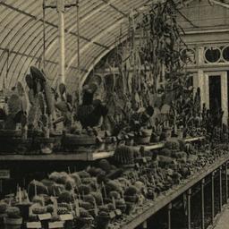 Cactus House, Botanical Gar...