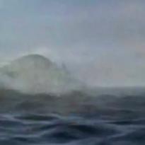 The Hunt for Moby Dick and ...