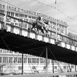 Photographic negatives of S...