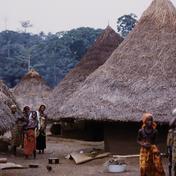 Village huts--architecture,...