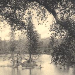 Upper Lake, Central Park, N...