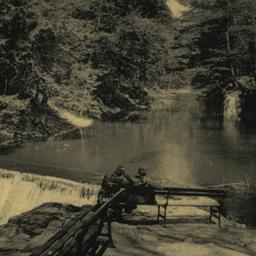 Looking Up the Bronx River,...