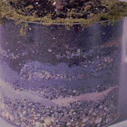Terrarium planter.