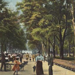 The Mall, Central Park, New...
