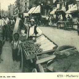 Mulberry Street, N.Y.