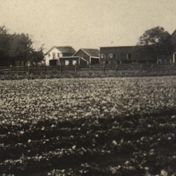 Peter I. Neefus Homestead, ...