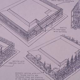 Surrounding trellis concept...