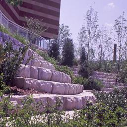 Terraced landscaping.