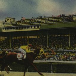 Belmont Park Race Track, Lo...