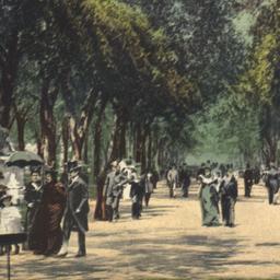 The Mall. Central Park. New...