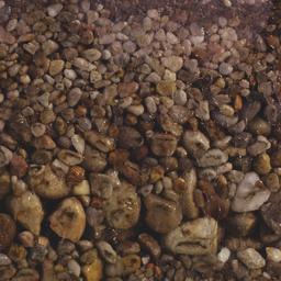 Detail of rocks and soil.