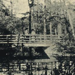 Rustic Bridge and Band Stan...