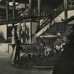 Elephant Ride, Luna Park.