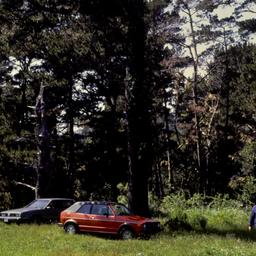 Cars parked in meadow with ...
