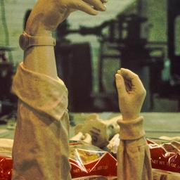 Cast adult and child forearms.