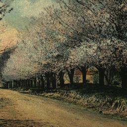 West Avenue, Looking South,...