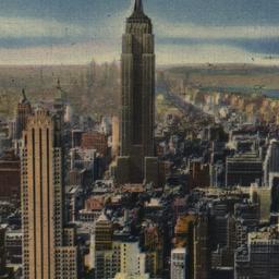 Root View of New York City ...