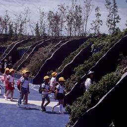 Group of children near vert...