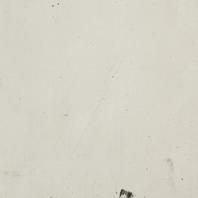 [Castor]
