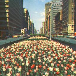 [Park Avenue Looking North]