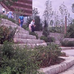 Visitors climbing terraced ...