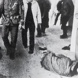 Wounded detainees on cement...