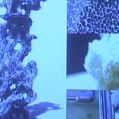 Ecosophical Apparatuses and...
