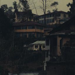 Hillside view (looking upwa...