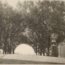Page No. 061 - Frascati, Vi...