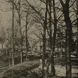 Friends' Burying Ground...