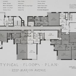 2557 Marion Avenue, Typical...