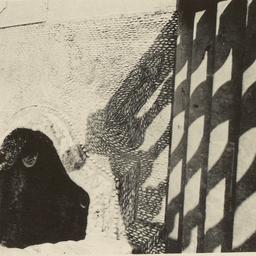 Page No. 086 - Pescia, Vill...