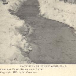 Snow Scenes in New York, No...