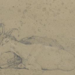 Two Goats Lying Down